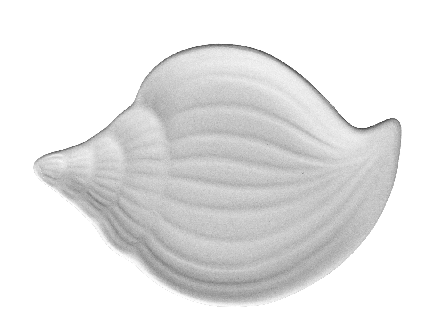 Muschelteller